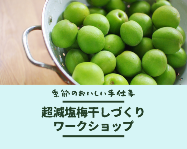 【嵐山】6月19日(月) 超減塩梅干しづくりワークショップ 【嵐山】6月19日(月) 超減塩梅干しづくりワークショップ